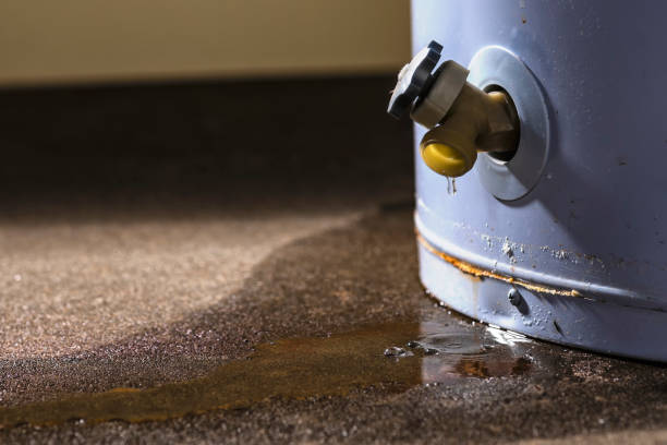Best Professional water damage repair  in Mill City, OR