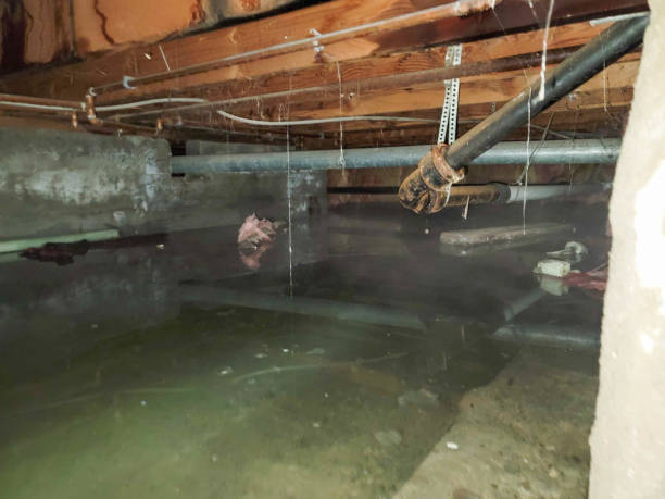 Best Flooded house restoration  in Mill City, OR