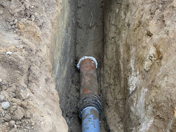 Best Professional water damage repair  in Mill City, OR
