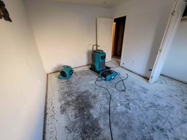 Best Residential water damage restoration  in Mill City, OR