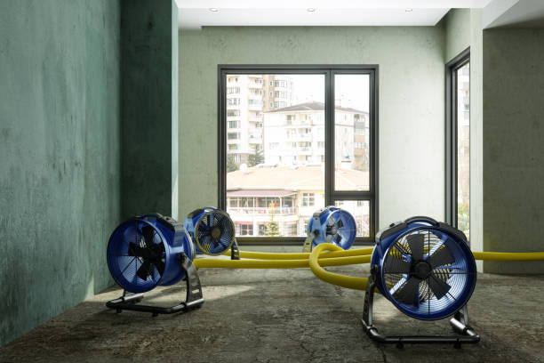 Best Emergency water damage restoration  in Mill City, OR