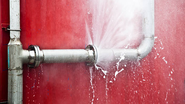 Best Flood damage cleanup  in Mill City, OR