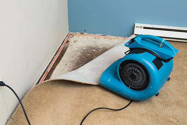 Best Basement water damage restoration  in Mill City, OR